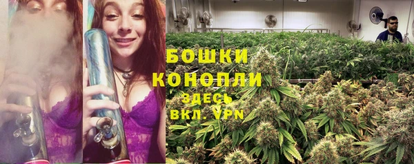 ECSTASY Майский