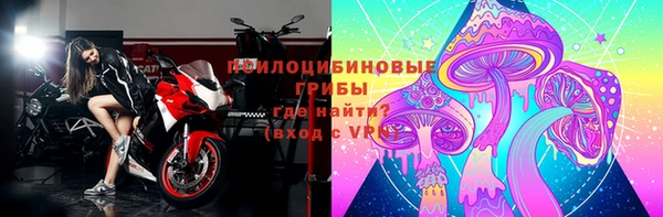 СК Абаза