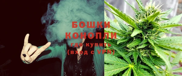 ECSTASY Майский