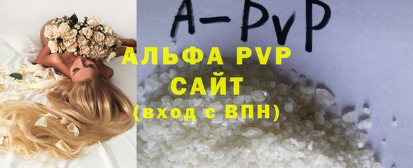 ECSTASY Майский
