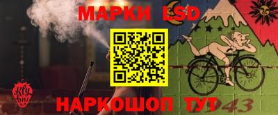 амф Аргун