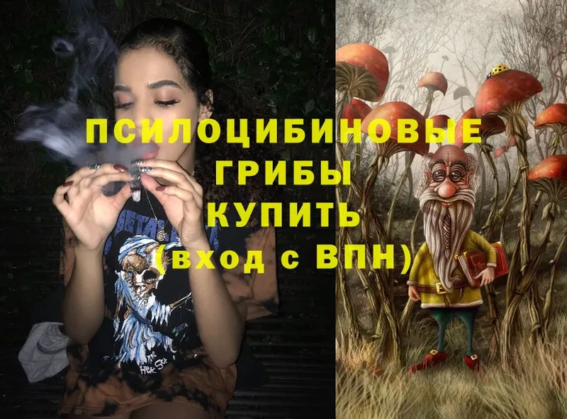 shop состав  сколько стоит  Ачинск  Псилоцибиновые грибы мухоморы 