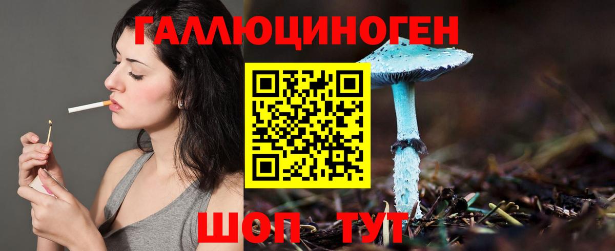 Ачинск  Галлюциногенные грибы Psilocybine cubensis  Вход с VPN 